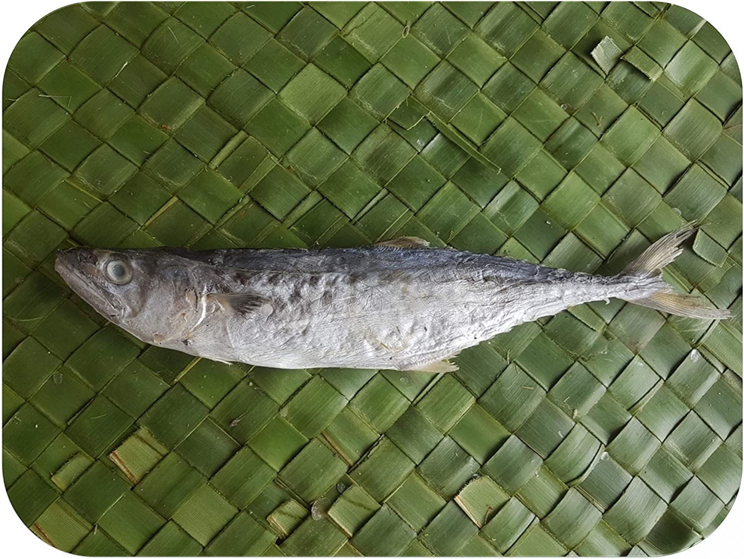 King Fish/Sheer Fish/Sheela/Neimeen/Vanjaram/வஞ்சரம்-Small in King Fish ...