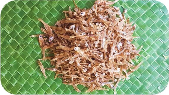 Anchovy | Nethili | நெத்திலி-Medium-Without Salt
