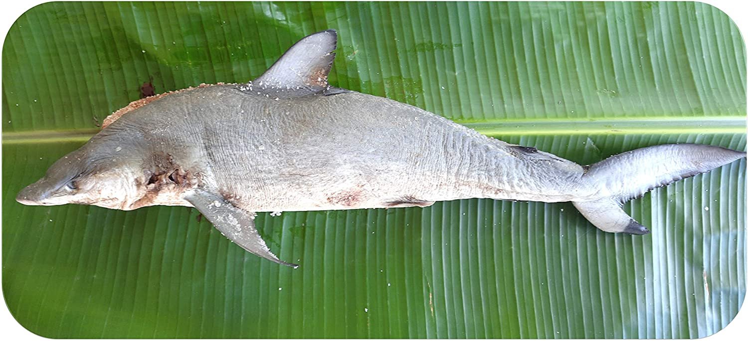 All Dry Fishes