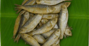 Sardine | Maththi | Soodai | சூடை-Without Salt