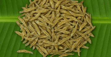 Ayirai | அயிரை கருவாடு