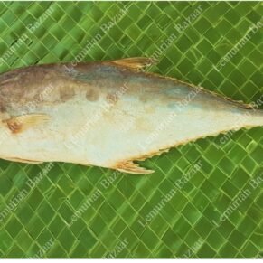Leather Skin Fish | Paarai |கட்டா-Big-Salt & Turmeric-200g