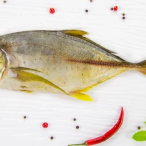 Queen Fish | Leather Skin Fish | Kattaa | Thol Paarai | பாரை-Medium-Yellow-200g
