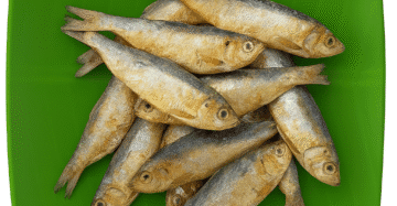 Sardine | Maththi | Soodai | சூடை