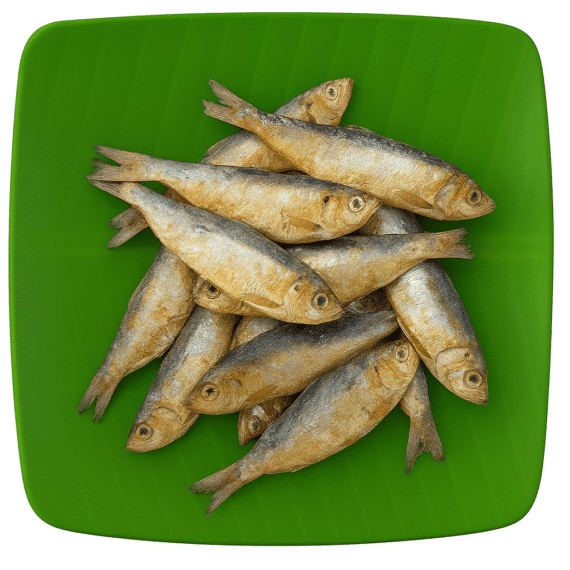 Sardine | Maththi | Soodai | சூடை