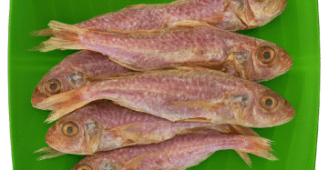 Red Mullet | Nagarai | நகரை